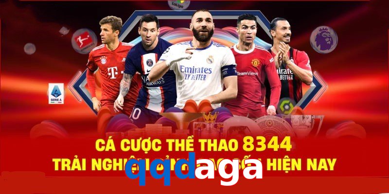 Đá Gà Philippines – Tinh Hoa Truyền Thống Và Thể Thao 